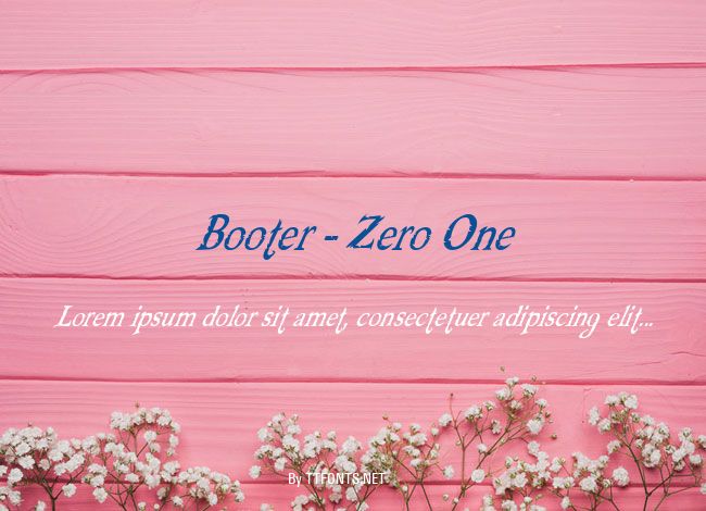 Booter - Zero One example